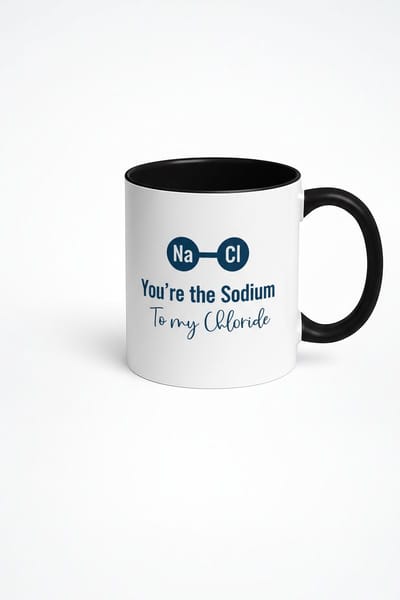 Na Cl Scheikunde Mok | 'You're the Sodium To my Chloride' | Uniek Liefdes Cadeau
