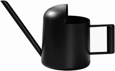 Roestvrijstalen gieter klein 300/500 ml voor kamerplanten