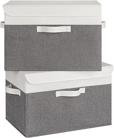 Dailygoods- Opbergboxen met Deksel Groot - Opbergdozen - Opbergdozen Stof - Kledingkast Organizer - Set van 2 - Huishoudelijke Organisatie