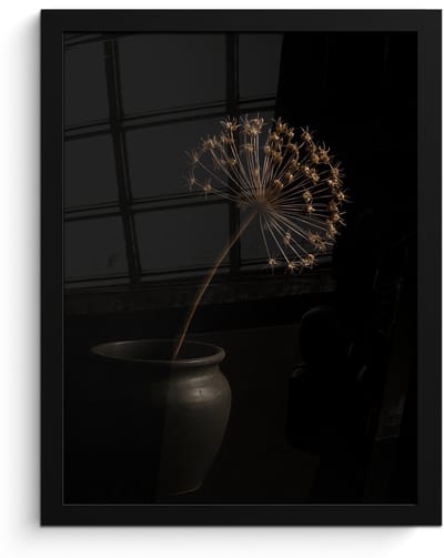 Poster in lijst - Fotolijst 30x40 cm - Posters - Bol - Gedroogd - Vaas - Zwart - Posterlijst zwart - Decoratie - Wanddecoratie woonkamer - Muurdecoratie slaapkamer