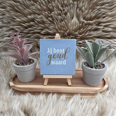 Robuust Wenstegeltje – Hip trendy tegeltje – Jij Bent Goud Waard – 10x10 cm – Lief Cadeau voor Vriend(in), Collega of Juf/meester – Stijlvolle Woondecoratie met Boodschap – Trendy nu – Decoratief Tegeltje met Standaard – Cadeau Idee