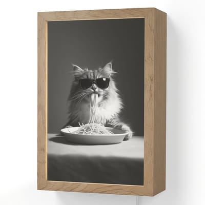 Wandlamp 20x30 cm - Oplaadbaar - Langharige kat - Zonnebril - Spaghetti - Humor - Zwart - wit - Wandlampen binnen woonkamer - Slaapkamer lamp met kabel - Decoratieve nachtlamp - Vloerlamp snoer
