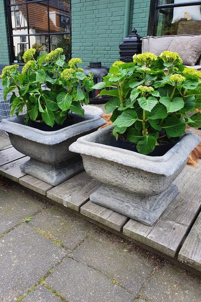 Il Cupido/ betonnen plantenbak| bloembak| beton/ vorstvrije bloembak| frans model bloembak| frans model plantenbak