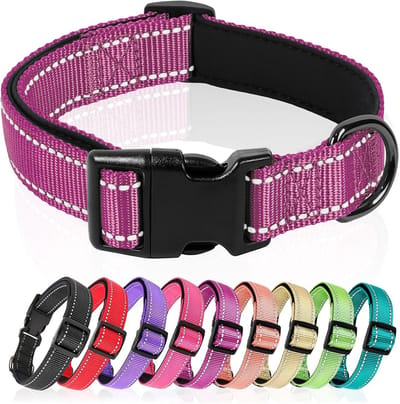 Hondenhalsband, Zacht Gevoerd Neopreen Nylon Hondenhalsband voor Puppy's, Kleine, Middelgrote en Grote Honden, Verstelbare en Reflecterende Halsband Hond voor Training, Magenta, S
