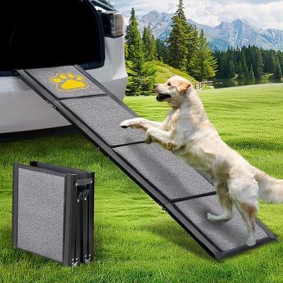 Inklapbare Hondenhelling voor Auto, SUV en Vrachtwagen - Antislip en Robuust voor Middelgrote tot Grote Honden