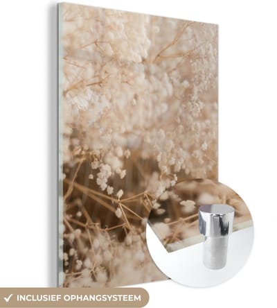 MuchoWow® Glasschilderij 30x40 cm - Schilderij acrylglas - Pampasgras - Plant - Natuur - Foto op glas - Schilderijen