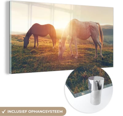 MuchoWow® Glasschilderij 40x20 cm - Schilderij acrylglas - Paarden - Zon - Dieren - Foto op glas - Schilderijen