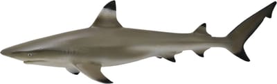 Collecta Zeedieren (M): ZWARTPUNTRIFHAAI 11.4x3.3cm