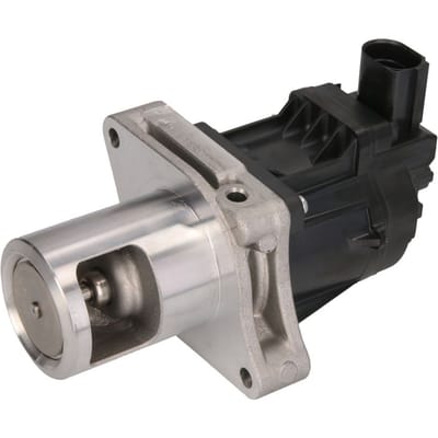 EGR-klep PIERBURG 7.24809.81.0