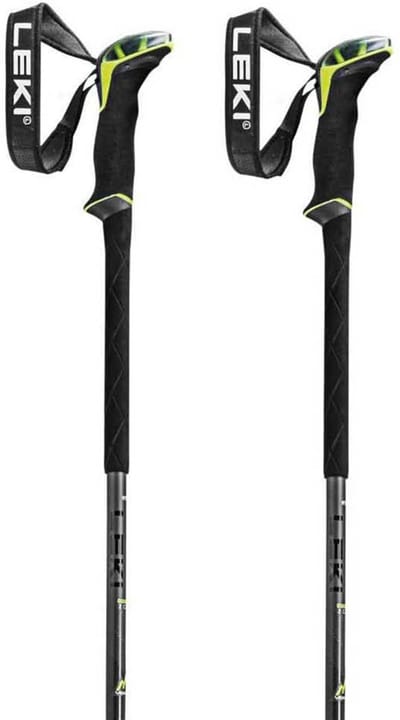 Leki Alpino Guide Lite 2 Carbon Stokken Zilver 105-150 cm