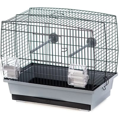 Vogelkooi Duvoplus Natalia 1
