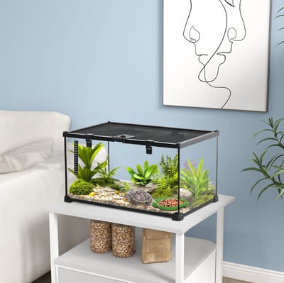 HAUSS SPOLE Terrarium – 50 x 30 x 25 cm – Ontsnappingsveilig Met Ventilerend Gaasdeksel – Staal En Glas – Zwart – Met Thermometerstrip