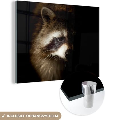 MuchoWow® Glasschilderij 160x120 cm - Schilderij acrylglas - Wasbeer - Wilde dieren - Zwart - Foto op glas - Schilderijen