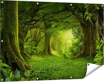 Gards Tuinposter Groene Tropische Jungle Bos - 120x80 cm - Tuindoek - Tuindecoratie - Wanddecoratie buiten - Tuinschilderij