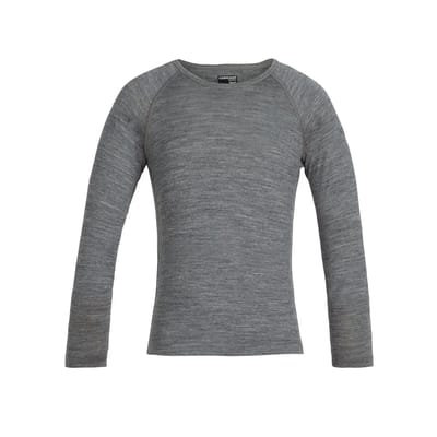 Icebreaker 200 Oasis Crew Merino T-shirt Met Lange Mouwen Grijs 10 Years Kinderen