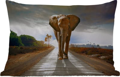 Buitenkussens - Olifant - Weg - Dieren - Zonsondergang - Landschap - 60x40 cm - Weerbestendig