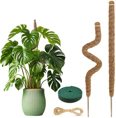 Dailygoods - 2 Stuks Mosstokken voor Planten - Buigbare Kokosvezel Steun