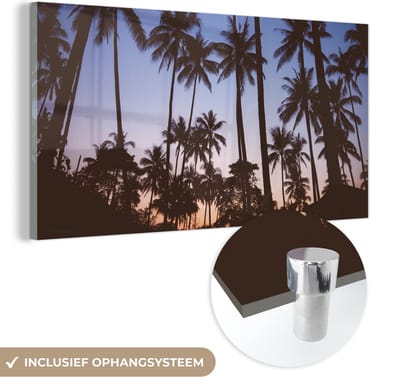MuchoWow® Glasschilderij 40x20 cm - Schilderij acrylglas - Palmboom - Tropisch - Zomer - Lucht - Foto op glas - Schilderijen
