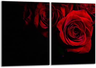 TMK ArtDeko - Rozen Motief - Beschermende Glasplaat - 2x40x52 cm