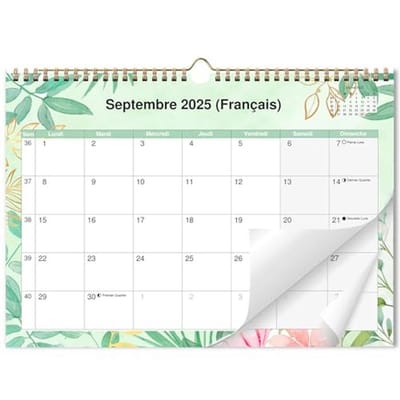 AEYAKA Wandkalender 2025-2026, 16 maanden (sept. 2025 - december 2026), maandkalender om op te hangen met vakantie, maanfasen, 29 x 41 cm, Frans