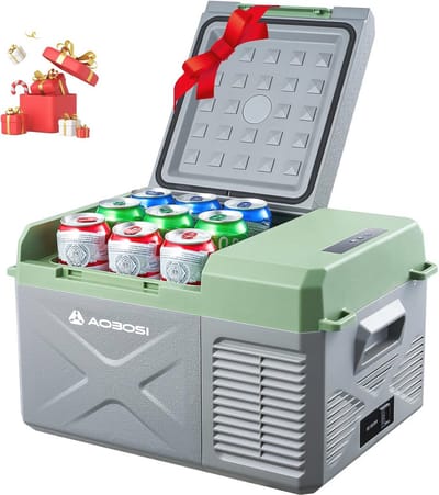 Mini-koelbox 10L voor auto, vrachtwagen en camper - Elektrische compressor tot -20°C