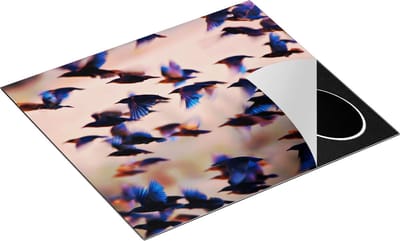 Chefcare Inductie Beschermer Groep Vliegende Blauwe Spreeuw Vogels - 60x50 cm - Afdekplaat Inductie - Kookplaat Beschermer - Inductie Mat