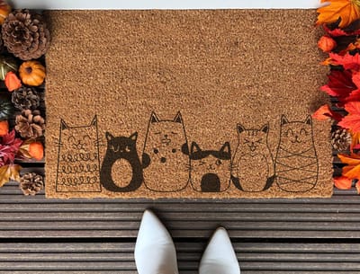 Cat | 90x60 cm | Nieuwe huis cadeau | Ingangsmat | Deurmat met stijl | Verhuizing cadeau | Praktisch & trendy | Perfect voor binnenkomst | Cadeau voor nieuwe woning