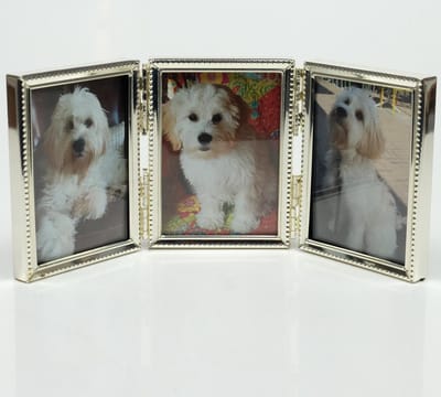 AL - Fotolijst - Zilver - Parel - 3-luik staand 10 x 15 cm