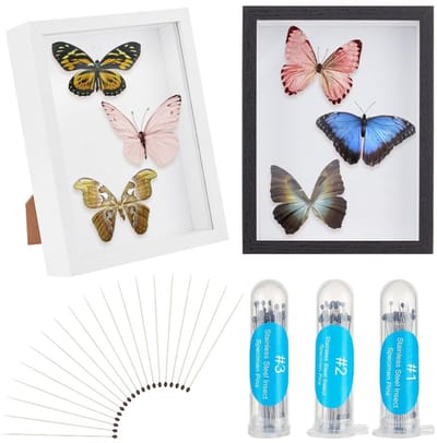 Dailygoods- Insectenvitrine 2 stuks - Doorzichtige Bovenkant - Houten Verzameldoos - Vlinder Exemplaar - Roestvrij Staal Pinnen - Afmetingen 21,7 x 16,5 x 4,5 cm - Insectenbox