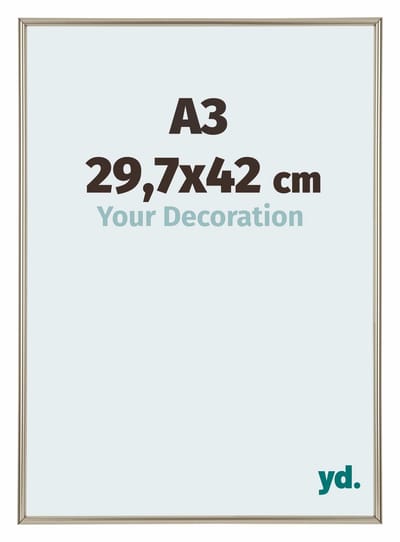 Your Decoration - Fotolijst A3 29,7x42 cm - Kunststof - Champagne - Annecy