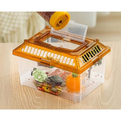 Aquarium Tortue Avec Table Solaire Pour Élever Petits Poissons Rouges Petits Lézards Petits Crabes Petites Tortues Et Petites Araignées