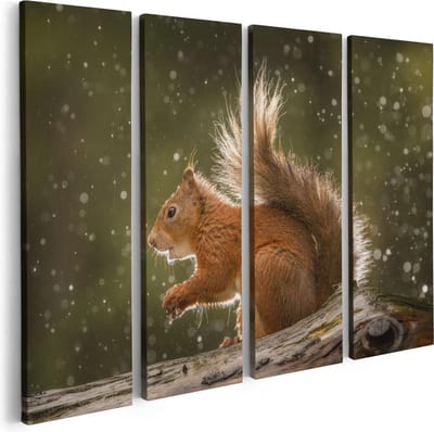 Artaza Canvas Schilderij Vierluik Eekhoorn in de Regen - 80x60 - Foto Op Canvas - Canvas Print