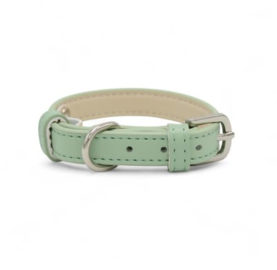 Dog's Companion Leren Halsband Hond - PU leren hondenhalsband- Lengte: 33 cm Verstelbaar van 19-26,5 cm x 15 mm - Groen