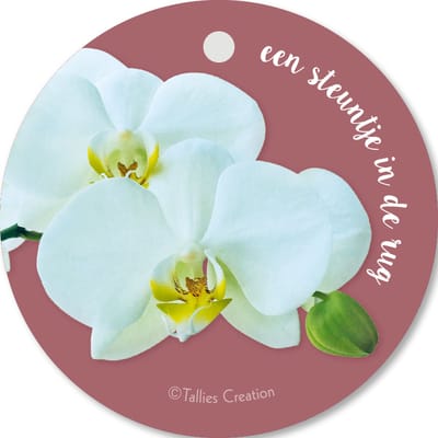 Tallies Cards - kadokaartjes  - bloemenkaartjes - Steuntje in de rug - Flowerpower - set van 5 kaarten - condoleance - deelneming - gecondoleerd - afscheid - 100% Duurzaam
