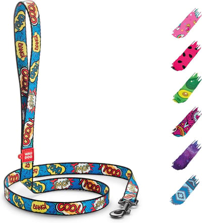 Nylon Hondenriem 25mm x 122cm - Duurzaam en Moderne Hondentrainingsriem