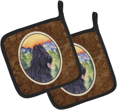 Pannenlappen Paar - Keuken Textiel - Veilig Koken - Dikke Isolatie - 7 1/2 inch - Veelkleurig
