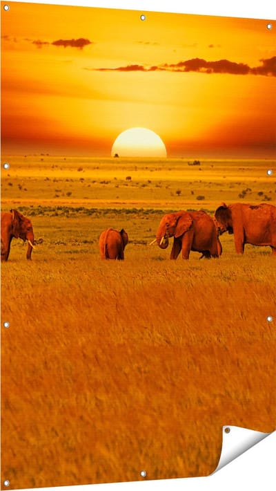 Gards Tuinposter Olifanten in het Wild - Zonsondergang - 100x150 cm - Tuindoek - Tuindecoratie - Wanddecoratie buiten - Tuinschilderij