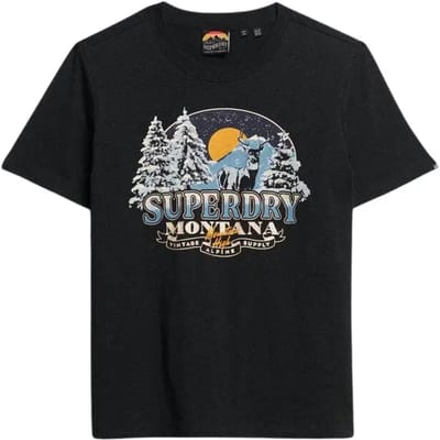 Superdry - Travel Souvenir T-shirt met relaxte pasvorm - Dames - T-shirts