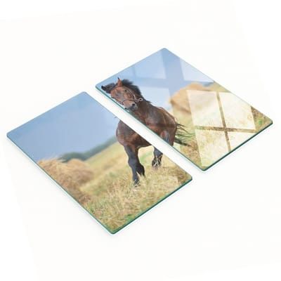 Decoratieve glazen snij- en serveerplanken met galopperend paard, 2x30x52 cm