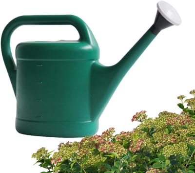 Gieter - Waterkruik Pot - Planten Water Geven - Ergonomisch Handvat - 10L - Groen