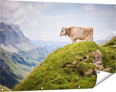 Gards Tuinposter Koe in de Bergen - 120x80 cm - Tuindoek - Tuindecoratie - Wanddecoratie buiten - Tuinschilderij