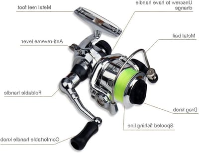 Telescopische Hengel Set met Opvouwbare Pocketrollen, 1 m/1.4 m, Lichtgewicht Spin Reel voor Beginners en Kinderen, Ideaal voor Vissen en Reisavonturen