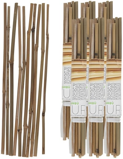 Gerimport Plantenstokken - 60x stuks - bamboe - 30 cm - plantensteun / tonkinstokken