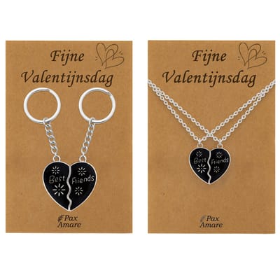 Koppel Ketting + Sleutelhanger voor 2 'Fijne Valentijnsdag' - Magnetisch Hartje - VERANDERT VAN KLEUR! - Bundel op Cadeau Kaartje - Zilverkleurig - Vriendschap of Relatie Symbool - Pax Amare