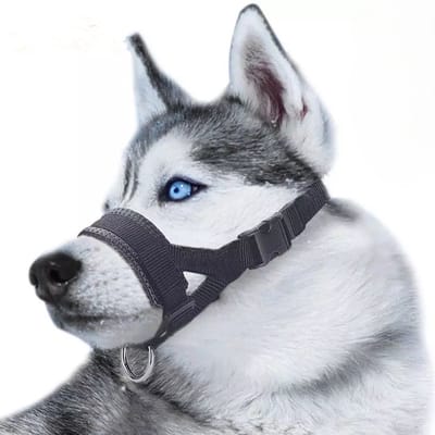 Muilkorf Honden L - Adjustable Dog Muzzle - Anti-Bite, Anti-Bark & Anti-Chew - with Leash Ring-LOUZIR