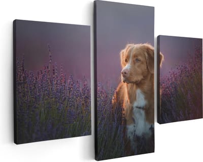 Artaza Canvas Schilderij Drieluik Retriever Hond Tussen De Lavendel Bloemen - 90x60 - Foto Op Canvas - Canvas Print