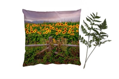 Sierkussens - Kussentjes Woonkamer - 40x40 cm - Zonnebloem - Bloemen - Planten