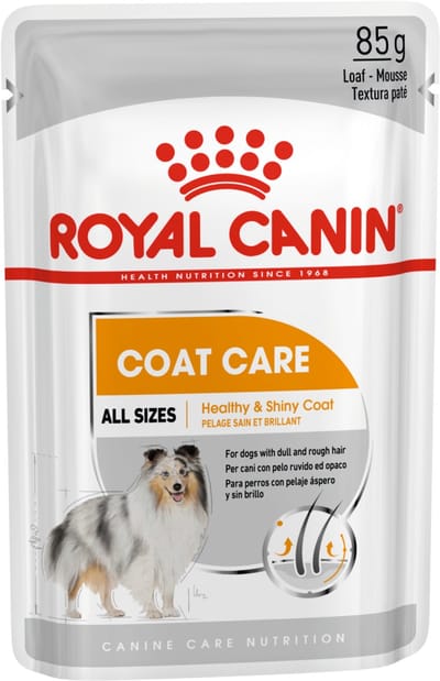 Royal Canin Coat Care Natvoer - 12x85 g - Hondenvoer