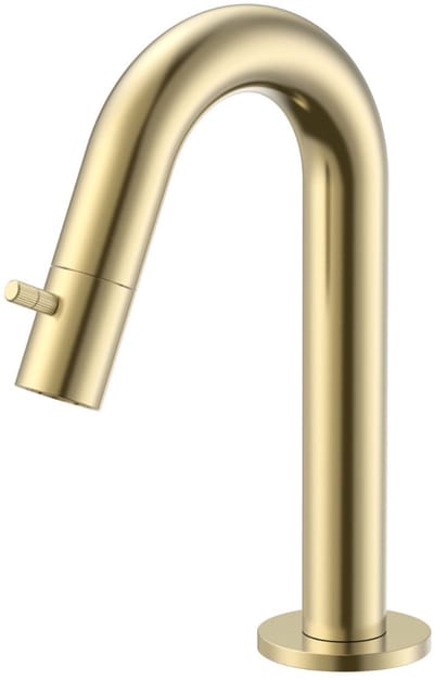 ALONI Stria koudwaterkraan – geborsteld goud (PVD)