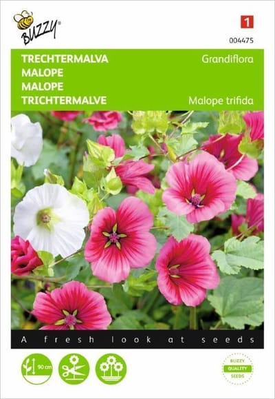 Malope, Trechtermalva Grandiflora gemengd
